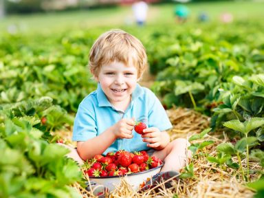 Toddler Nutrition - Pediatric Associates of Franklin